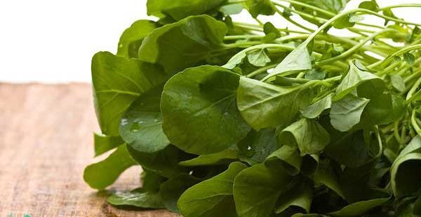 عکس تخم سبزی شاهین