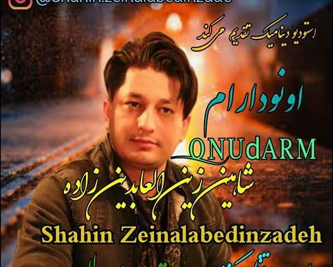 عکس های شاهین زین العابدین زاده