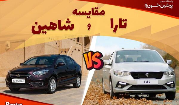 عکس تمام رخ شاهین
