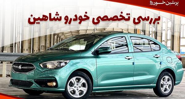 عکس تمام رخ شاهین