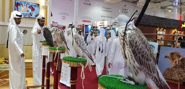 عکس جوجه شاهین سفید