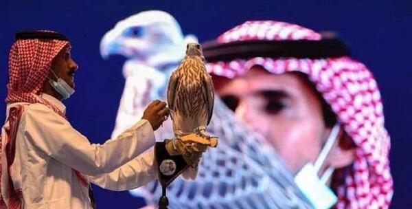 دانلود عکس شاهین بحری