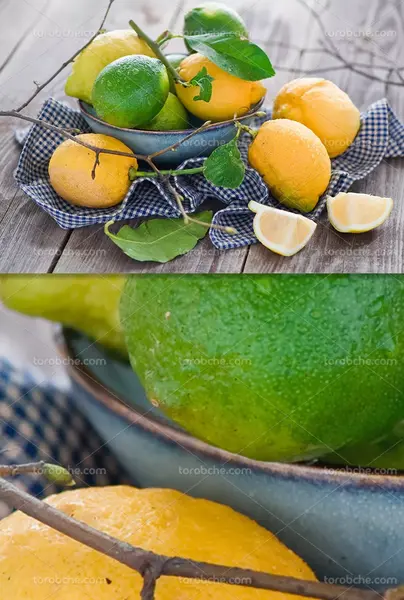 عکس نقاشی لیموشیرین