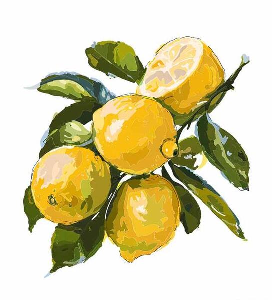 عکس نقاشی لیموشیرین