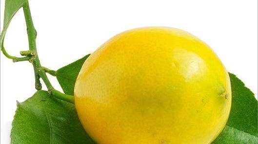 عکس نقاشی لیموشیرین