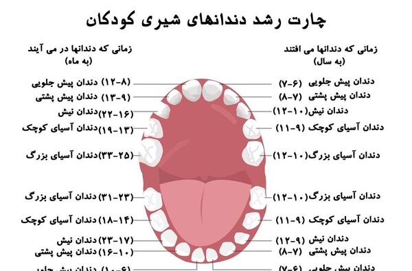 عکس بچه های شیرین عقل