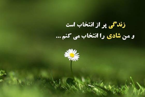 عکس پروفایل زندگی شیرین