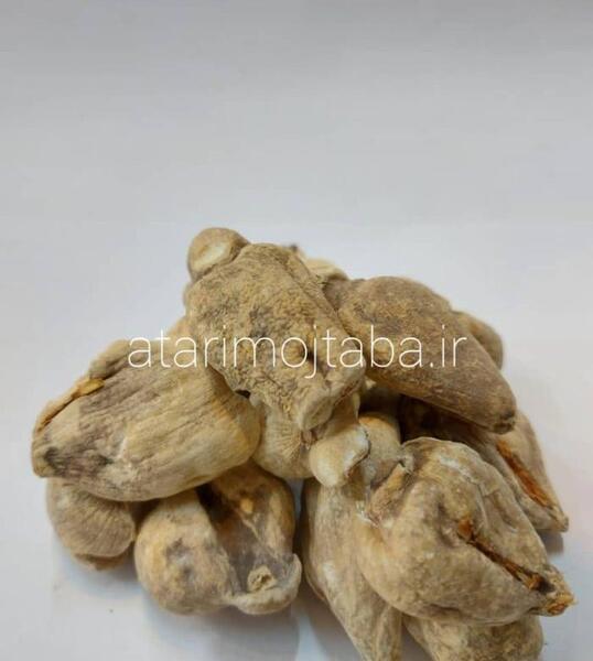 عکس سورنجان شیرین