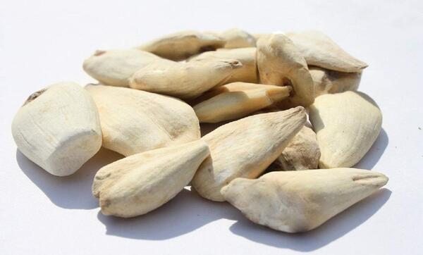 عکس سورنجان شیرین