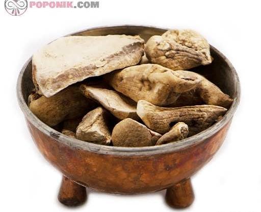 عکس سورنجان شیرین
