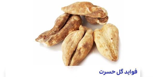 عکس سورنجان شیرین