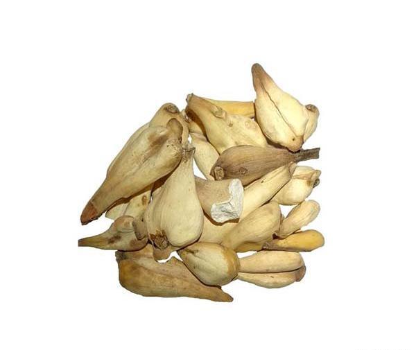 عکس سورنجان شیرین