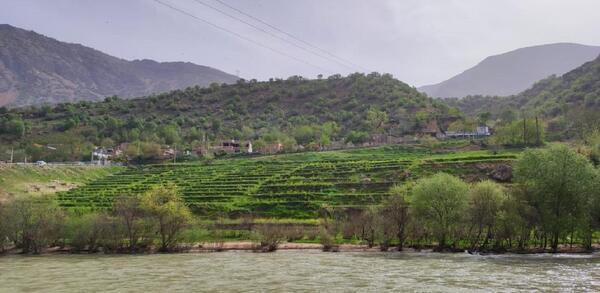 عکس کوه شیرین سوار