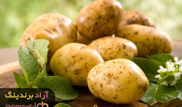 عکس سیب زمینی شیرین وحشی