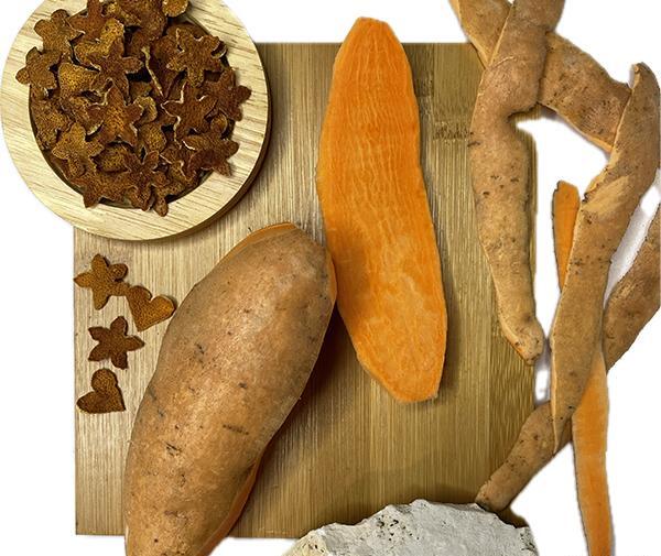 عکس گل سیب زمینی شیرین