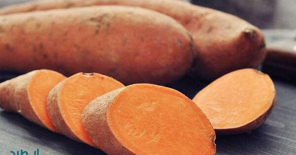 عکس گیاه سیب زمینی شیرین