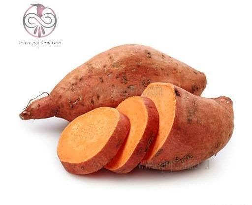 عکس گیاه سیب زمینی شیرین