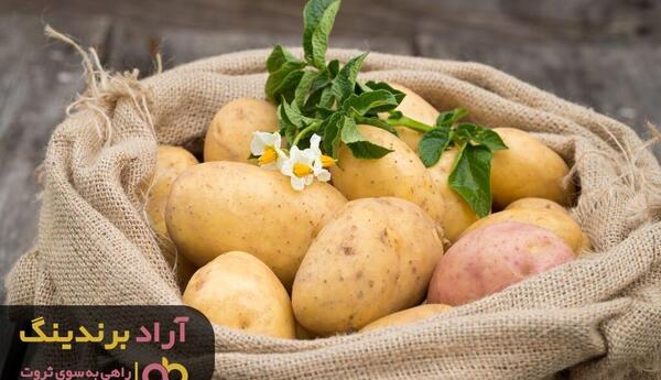 عکس از سیب زمینی شیرین