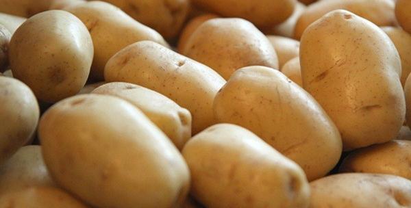 عکس از سیب زمینی شیرین