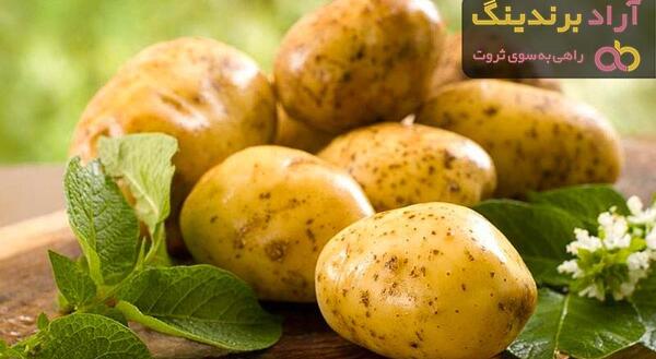 عکس از سیب زمینی شیرین