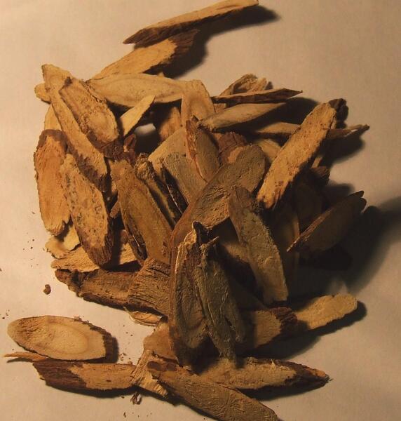 عکس گیاهی شیرین بیان