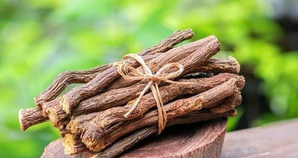 عکس گیاهی شیرین بیان