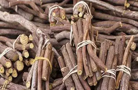 عکس از گیاه شیرین بیان