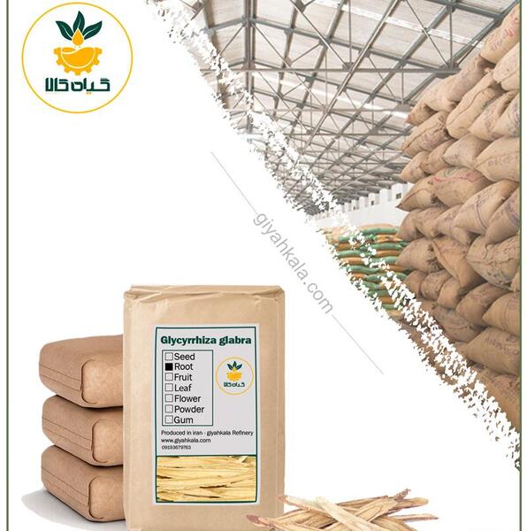 عکس گیاه شیرین بیان خشک شده