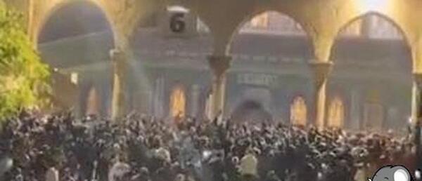 عکس شادی مردم فلسطین