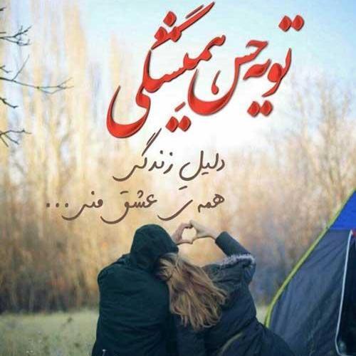 عکس های شاد عاشقانه
