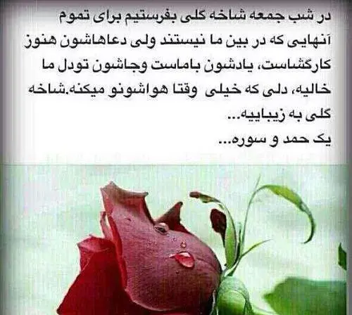 عکس برای شادی روح پدرم صلوات