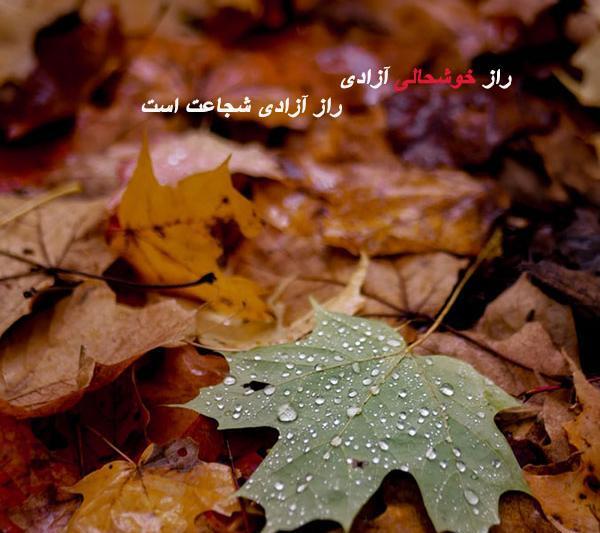 عکس های شادی اور