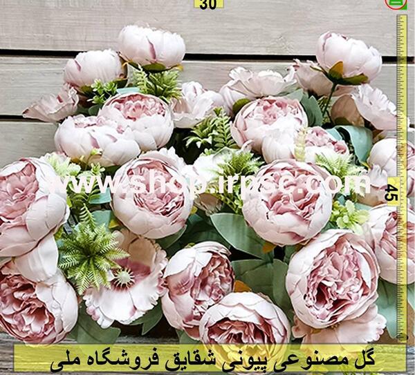 عکس شقایق های متراکم