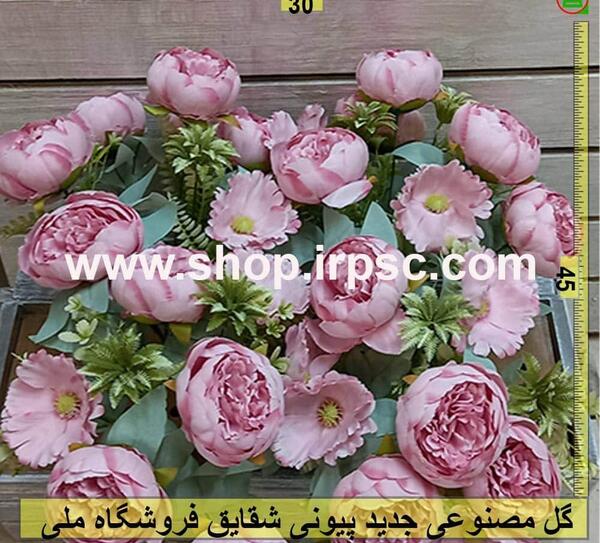 عکس شقایق های متراکم