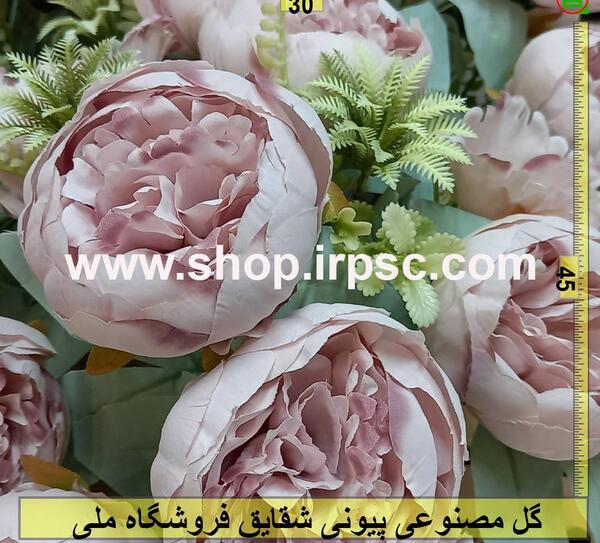 عکس شقایق های متراکم