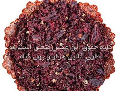 عکس گیاه شقایق وحشی