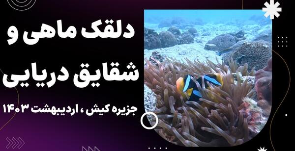 عکس دلقک ماهی و شقایق دریایی