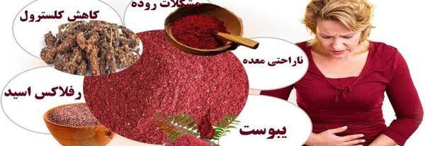 عکس های سماق