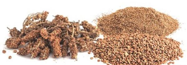 عکس سماق نکوبیده