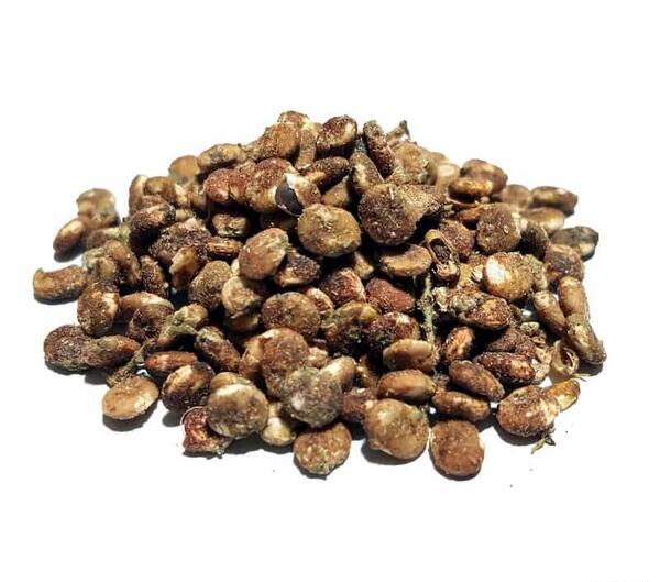 عکس سماق قهوه ای