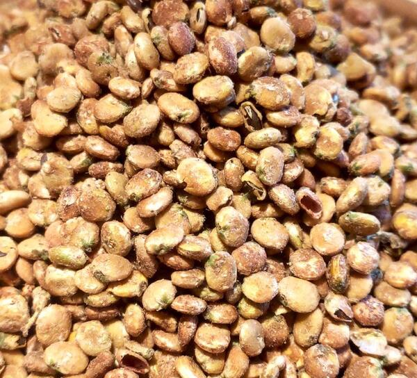 عکس سماق قهوه ای