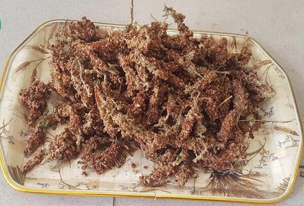 عکس سماق کوبیده
