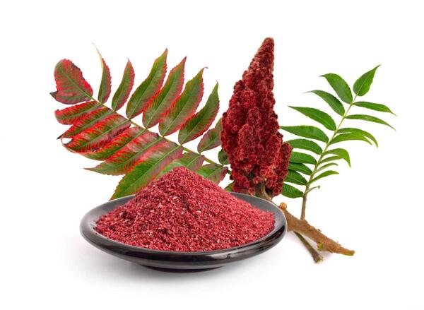 عکس سماق قرمز