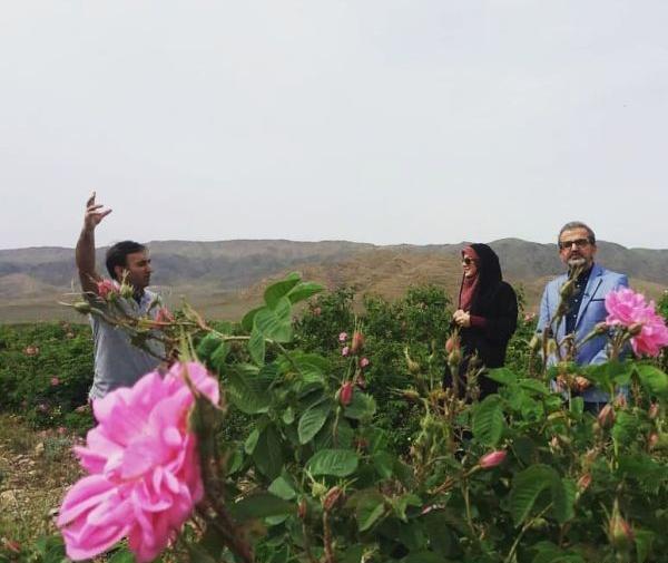 عکس بچه ساجده سلیمانی