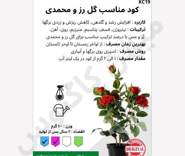 عکس گل های ساناز