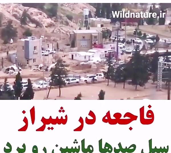 عکس عروسی ساناز کیانی قربانی سیل شیراز
