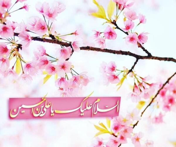 عکس ولادت امام سجاد مبارک