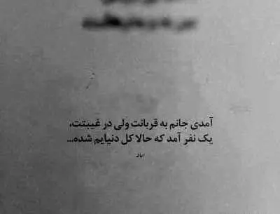 عکس سجاد شاهی