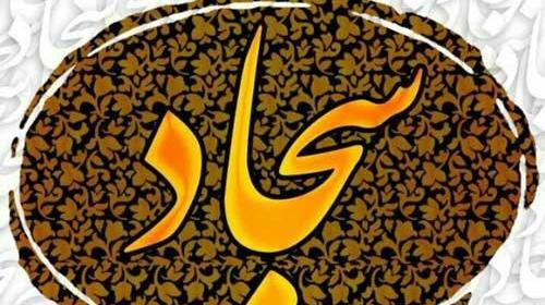 عکس پروفایل سجاد شاهی