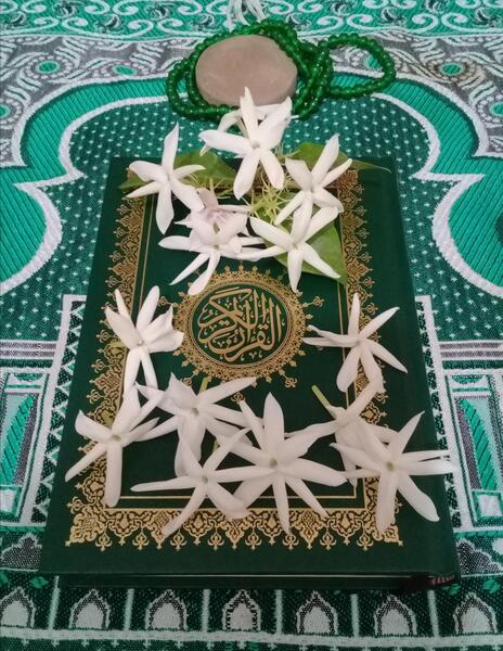 عکس سجاده و قرآن